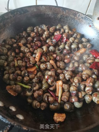 香辣卤螺蛳的做法步骤：13
