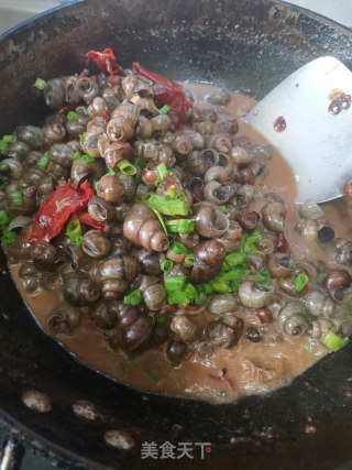香辣卤螺蛳的做法步骤：17