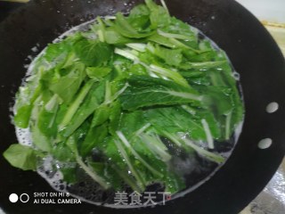 春季润燥汤水  小白菜排骨汤的做法步骤：4