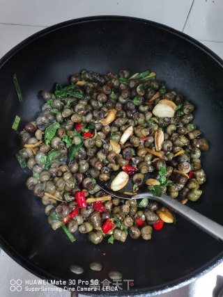 麻辣螺蛳的做法步骤：5