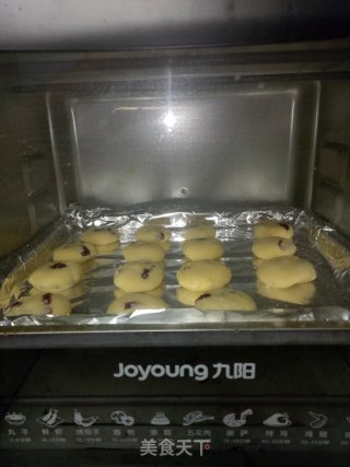 蔓越莓椰蓉酥饼的做法步骤：6