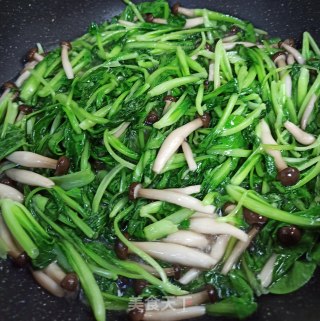 蟹味菇烧小青菜的做法步骤：4