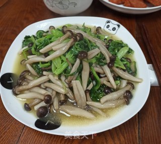 蟹味菇烧小青菜的做法步骤：5