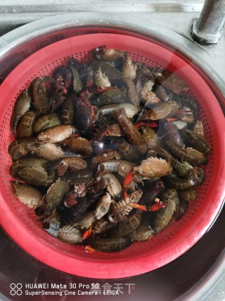 香辣龙虾的做法步骤：1