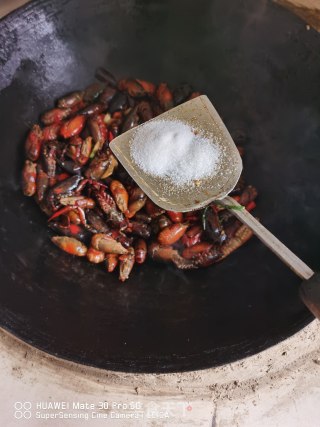 香辣龙虾的做法步骤：8