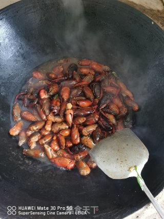 香辣龙虾的做法步骤：9