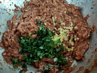 猪肉茴香包子的做法步骤：11