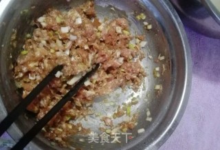 自制肉馅棋子烧饼的做法步骤：3