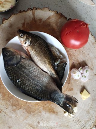 家常鲫鱼番茄汤的做法步骤：1