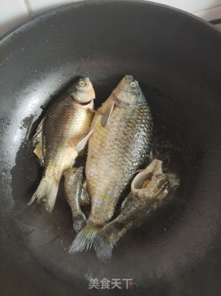 家常鲫鱼番茄汤的做法步骤：5