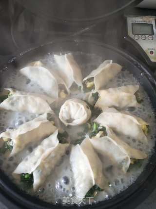 韭菜鸡蛋锅贴的做法步骤：5