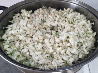蒸槐花的做法步骤：4