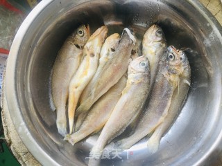 香煎小黄鱼的做法步骤：1