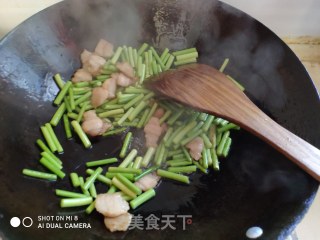 蒜毫炒肉的做法步骤：5