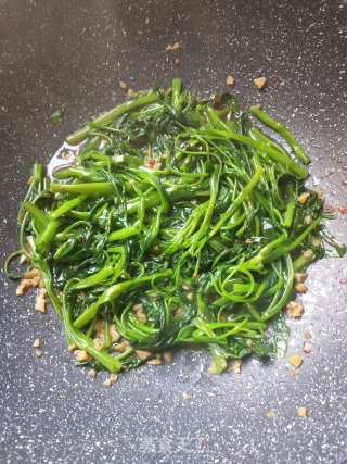 蒜蓉空心菜的做法步骤：5