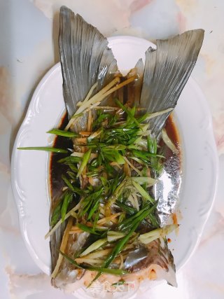 清蒸鲩鱼尾的做法步骤：6