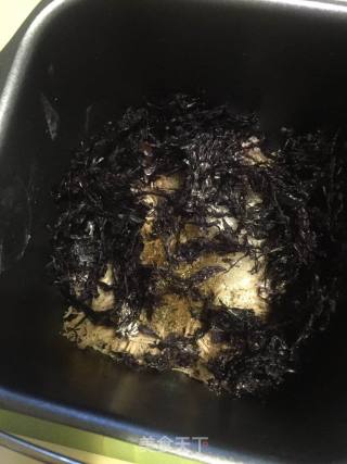 自制紫菜肉松的做法步骤：5