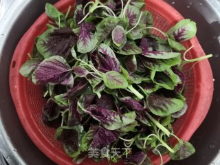春日蒜香虾皮红苋的做法步骤：3