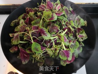 春日蒜香虾皮红苋的做法步骤：9