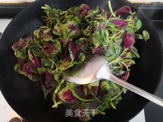 春日蒜香虾皮红苋的做法步骤：10
