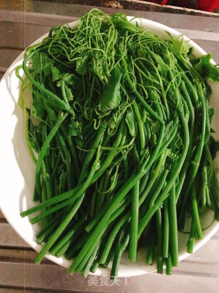 白灼龙须菜的做法步骤：5