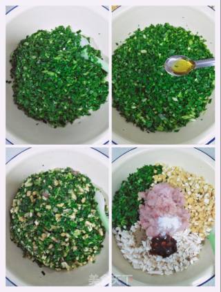 韭菜罗非鱼蒸饺的做法步骤：4
