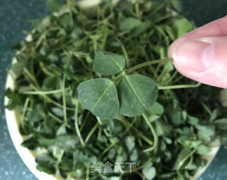 苜蓿鸡肉包子的做法步骤：4