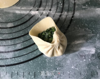 苜蓿鸡肉包子的做法步骤：12