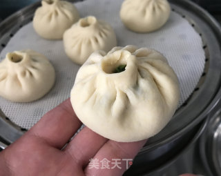 苜蓿鸡肉包子的做法步骤：15