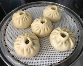 苜蓿鸡肉包子的做法步骤：16