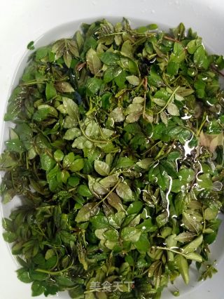 花椒芽炒鸡蛋的做法步骤：2