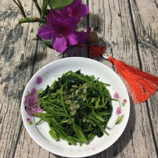 蒜蓉蕃薯叶的做法步骤：6