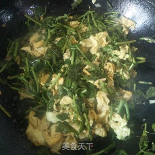 香椿炒鸡蛋的做法步骤：6