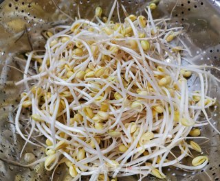 本真味道~黄豆芽炒韭菜的做法步骤：1