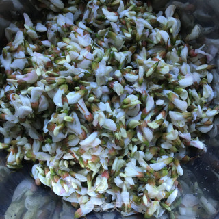 韭菜炒槐花饭的做法步骤：4