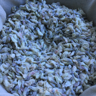韭菜炒槐花饭的做法步骤：8