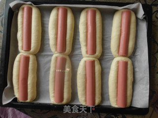 肠仔包的基础做法和面包的发酵注意事项的做法步骤：8