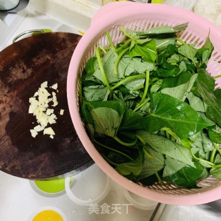 蒜炒番薯叶的做法步骤：1