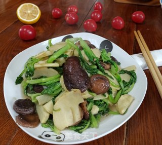 春笋香菇烧小青菜的做法步骤：7