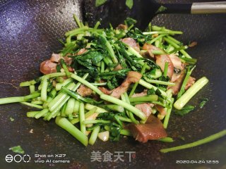 水芹炒猪耳朵的做法步骤：4