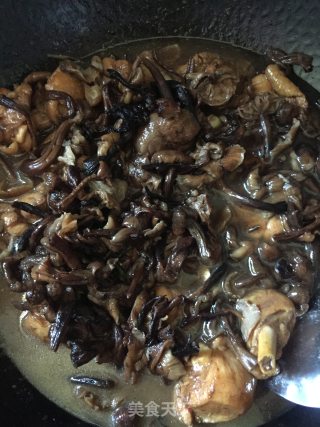 鸡腿炖蘑菇粉条的做法步骤：15