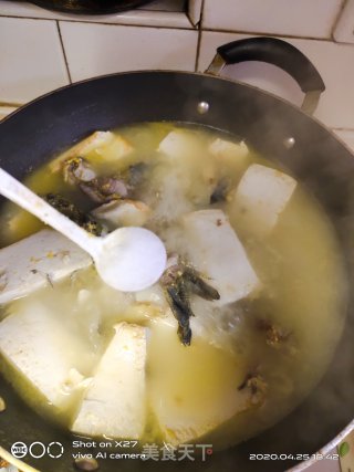 豆腐昂刺鱼汤的做法步骤：5