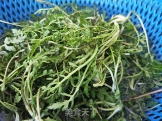 荠菜干豆腐卷的做法步骤：3