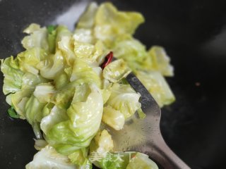 爆炒圆白菜的做法步骤：4
