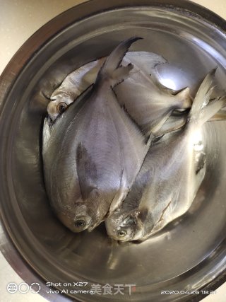 榨菜焖小鲳鱼的做法步骤：1