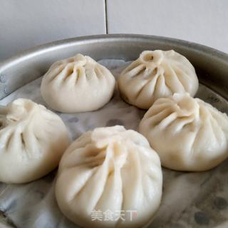 茴香肉包子的做法步骤：20