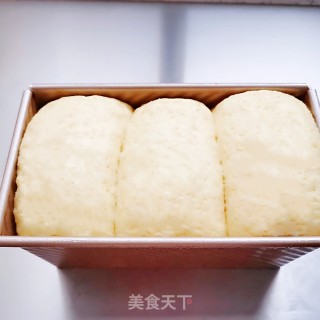 汤种全麦吐司（100%）的做法步骤：22