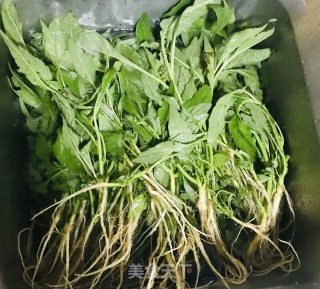 油淋苋菜的做法步骤：2