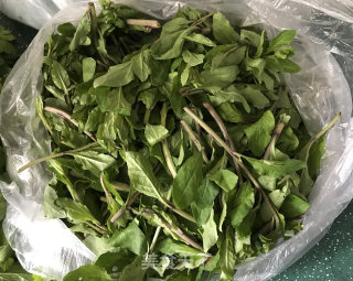 野菜的保存方法的做法步骤：1