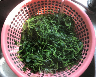 野菜的保存方法的做法步骤：9